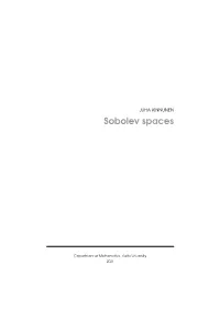 Sobolev Spaces