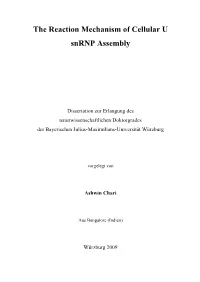 The Reaction Mechanism of Cellular U Snrnp Assembly