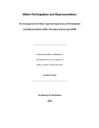 Māori Participation and Representation