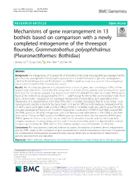 Mechanisms of Gene Rearrangement in 13 Bothids