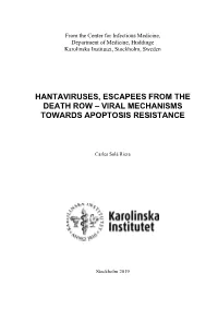 THESIS for DOCTORAL DEGREE (Ph.D.)