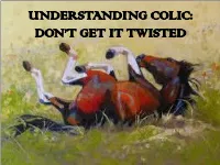 Understanding Colic: Don't Get It Twisted