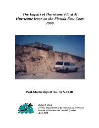 Hurricane Floyd and Irene (1999)