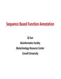 Sequence Based Function Annotation