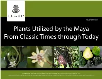 Plants Utilized by the Maya from Classic Times Through Today