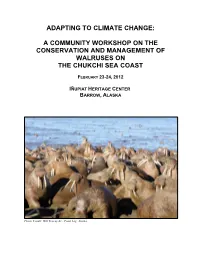 A Community Workshop on the Conservation and Management of Walruses on the Chukchi Sea Coast