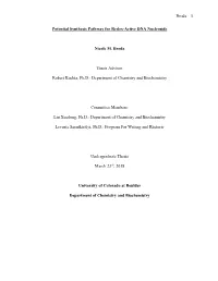 Broda 1 Potential Synthesis Pathway for Redox-Active DNA Nucleoside