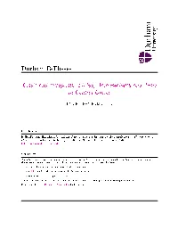 Durham E-Theses