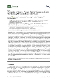 Dynamics of Coarse Woody Debris Characteristics in the Qinling Mountain Forests in China