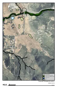 Full Biological Resources Report Outline