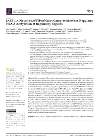 JAZF1, a Novel P400/TIP60/Nua4 Complex Member, Regulates H2A.Z Acetylation at Regulatory Regions