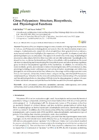 Citrus Polyamines: Structure, Biosynthesis, and Physiological Functions