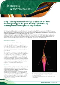 Microscopy & Microtechniques