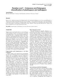 Cretaceous and Palaeogene Diversification of Planthoppers and Leafhoppers