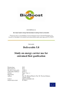 Del 5.8 Study on Energy Carrier Use for Entrained Flow Gasification