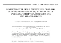 Mononchina . Ii. Prionchulus Spectabilis Ditlevsen, 1911