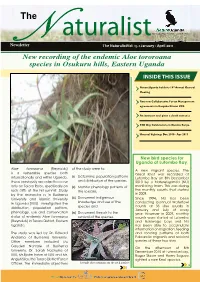 New Bird Species for Uganda at Lutembe Bay. Newsletter