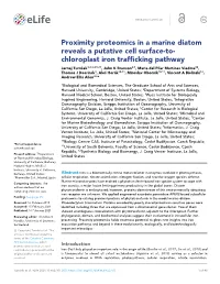 Proximity Proteomics in a Marine Diatom Reveals a Putative Cell