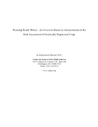 Roundup Ready Wheat – an Overview Based on Advancements in the Risk Assessment of Genetically Engineered Crops