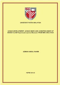 GONAD DEVELOPMENT, GONAD INDEX and CONDITION INDEX of MARSH CLAM Polymesoda Epansa Mousson from MIRI, MALAYSIA