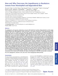 Lessons from Rhinolophid and Hipposiderid Bats