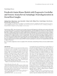 Friedreich Ataxia Mouse Models with Progressive Cerebellar and Sensory Ataxia Reveal Autophagic Neurodegeneration in Dorsal Root Ganglia