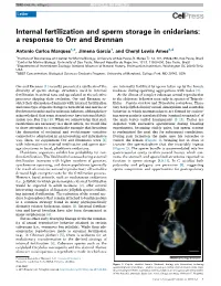 Internal Fertilization and Sperm Storage in Cnidarians