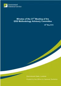 Minutes of the 31 Meeting of the GSS Methodology Advisory Committee