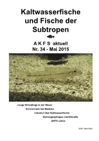 Scheffel Wachstum Gruendlinge