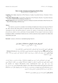 Article 101235 3Eb643bfde5c9