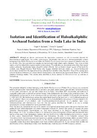 Isolation and Identification of Haloalkaliphilic Archaeal Isolates from a Soda Lake in India