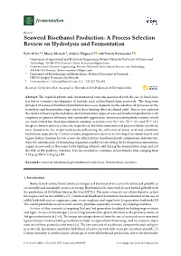 Seaweed Bioethanol Production: a Process Selection Review on Hydrolysis and Fermentation