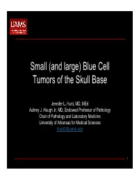 Small (And Large) Blue Cell Tumors of the Skull Base