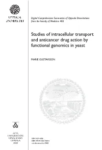 Studies of Intracellular Transport and Anticancer Drug Action by Functional Genomics in Yeast