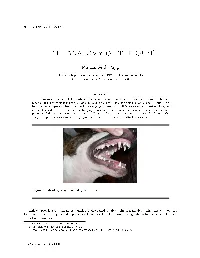 The-Anatomy-Of-The-Gum-1.Pdf