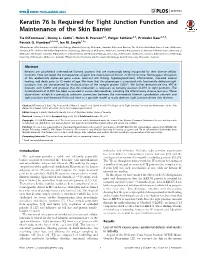 Keratin 76 Is Required for Tight Junction Function and Maintenance of the Skin Barrier