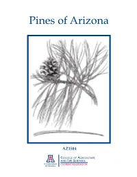 Pines of Arizona