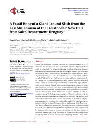 A Fossil Bone of a Giant Ground Sloth from the Last Millennium of the Pleistocene: New Data from Salto Department, Uruguay