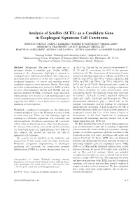Analysis of Sciellin (SCEL) As a Candidate Gene in Esophageal Squamous Cell Carcinoma