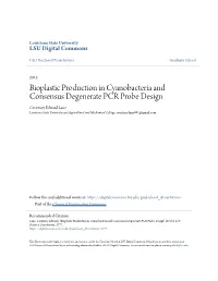 Bioplastic Production in Cyanobacteria and Consensus Degenerate PCR Probe Design