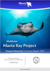 Oceanic Manta Ray |Summary Report 2019