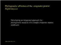 Phylogenetic Affinities of the Enigmatic Protist Nephromyces