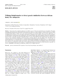 Utilizing Bioinformatics to Detect Genetic Similarities Between African Honey Bee Subspecies