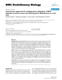 A Proteomic Approach for Studying Insect Phylogeny: CAPA Peptides of Ancient Insect Taxa (Dictyoptera, Blattoptera) As a Test Case