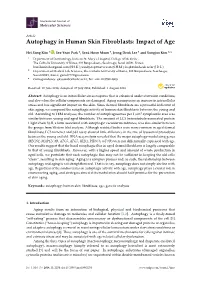 Autophagy in Human Skin Fibroblasts: Impact of Age