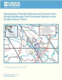 Denglouku/Nongan Total Petroleum Systems in the Songliao Basin, China