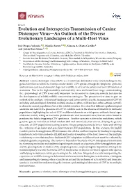 Evolution and Interspecies Transmission of Canine Distemper Virus—An Outlook of the Diverse Evolutionary Landscapes of a Multi-Host Virus
