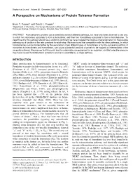A Perspective on Mechanisms of Protein Tetramer Formation