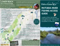 Motueka River 1