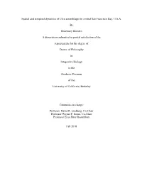Spatial and Temporal Dynamics of Ulva Assemblages in Central San Francisco Bay, U.S.A